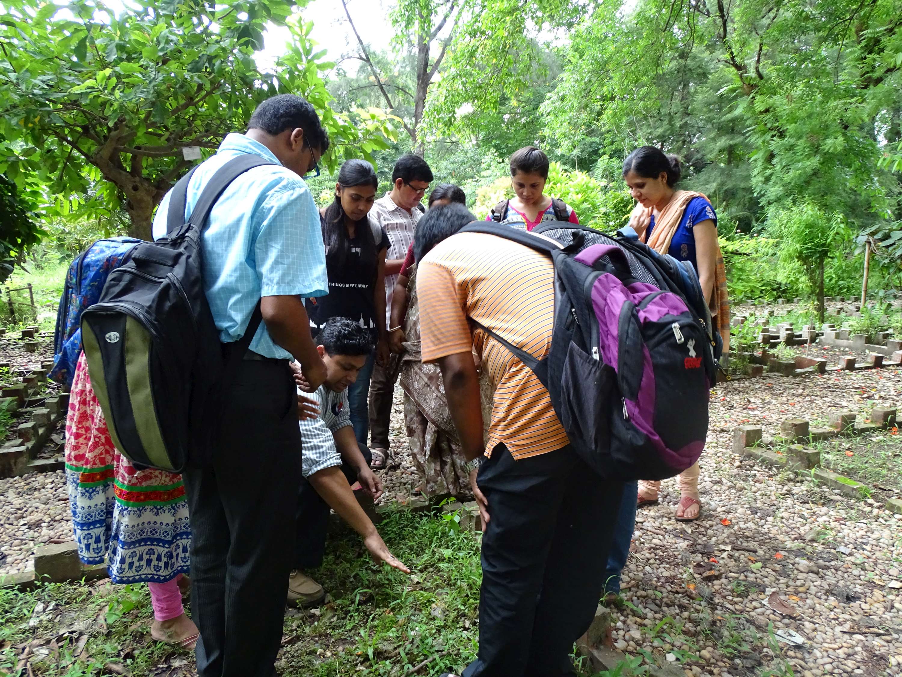 Green Skill Development Programme