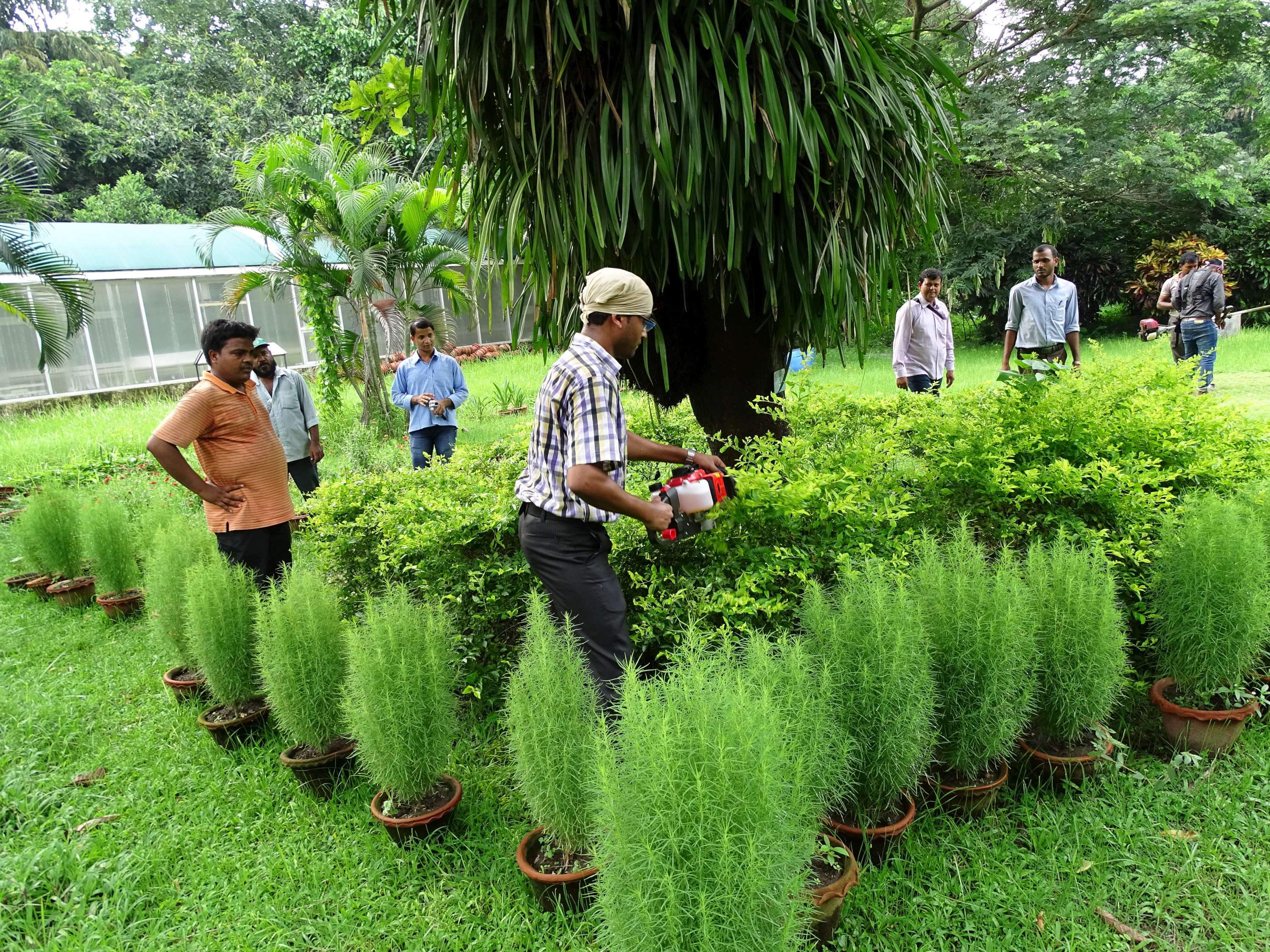 Green Skill Development Programme