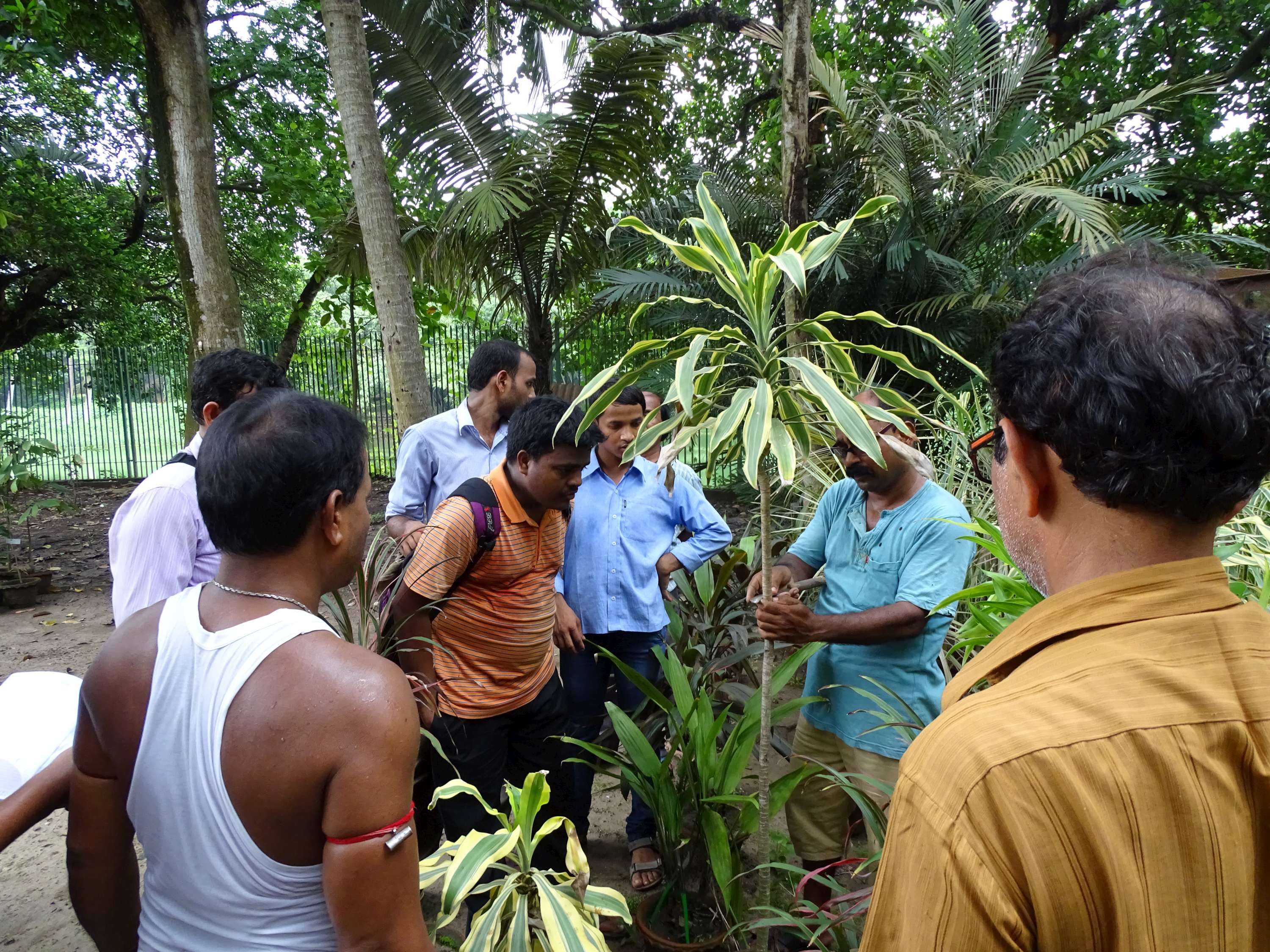 Green Skill Development Programme