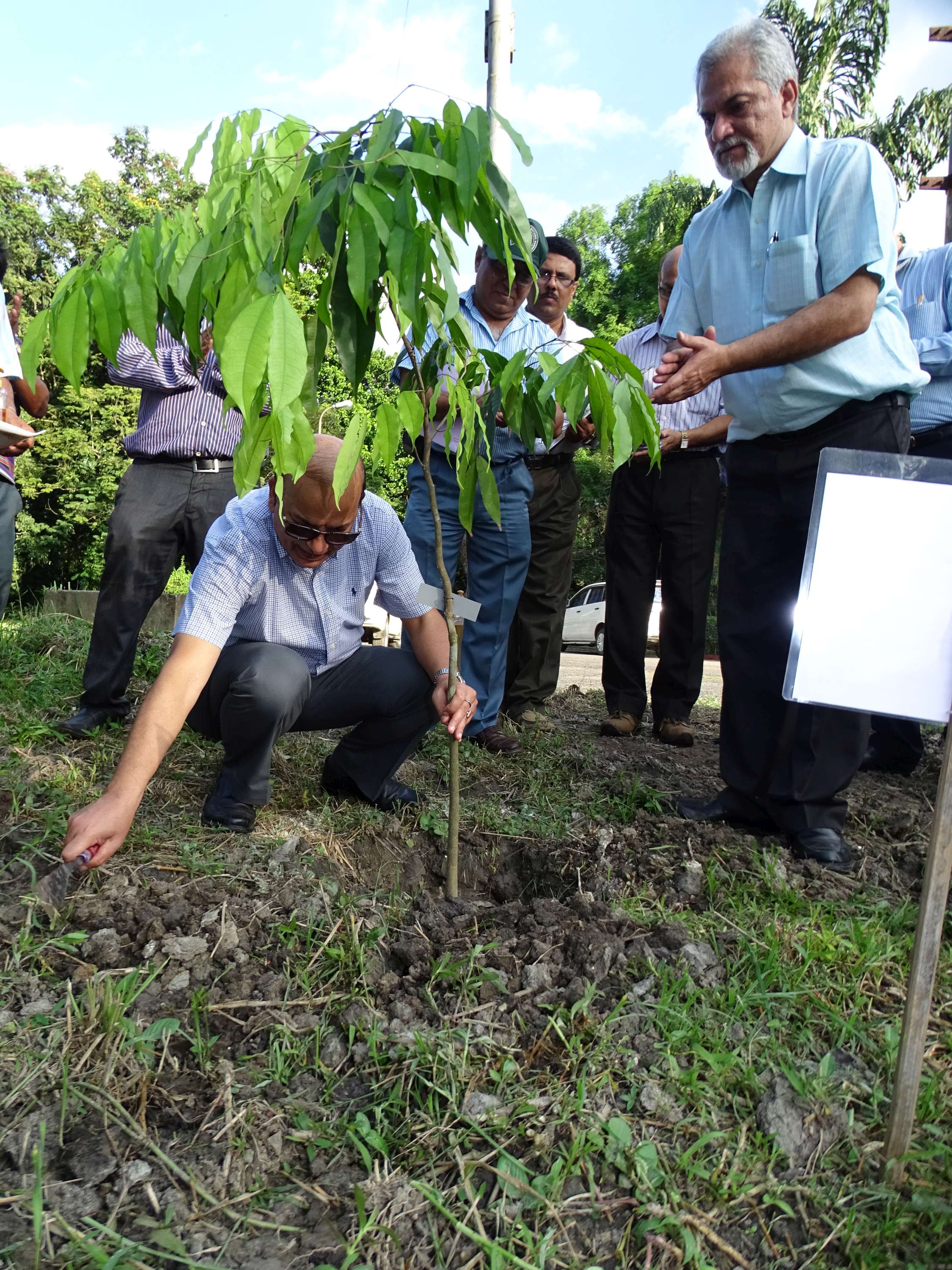 Plantation by the Secretary, MOEF&CC at AJCB Indian Botanic Garden on 30.09.16