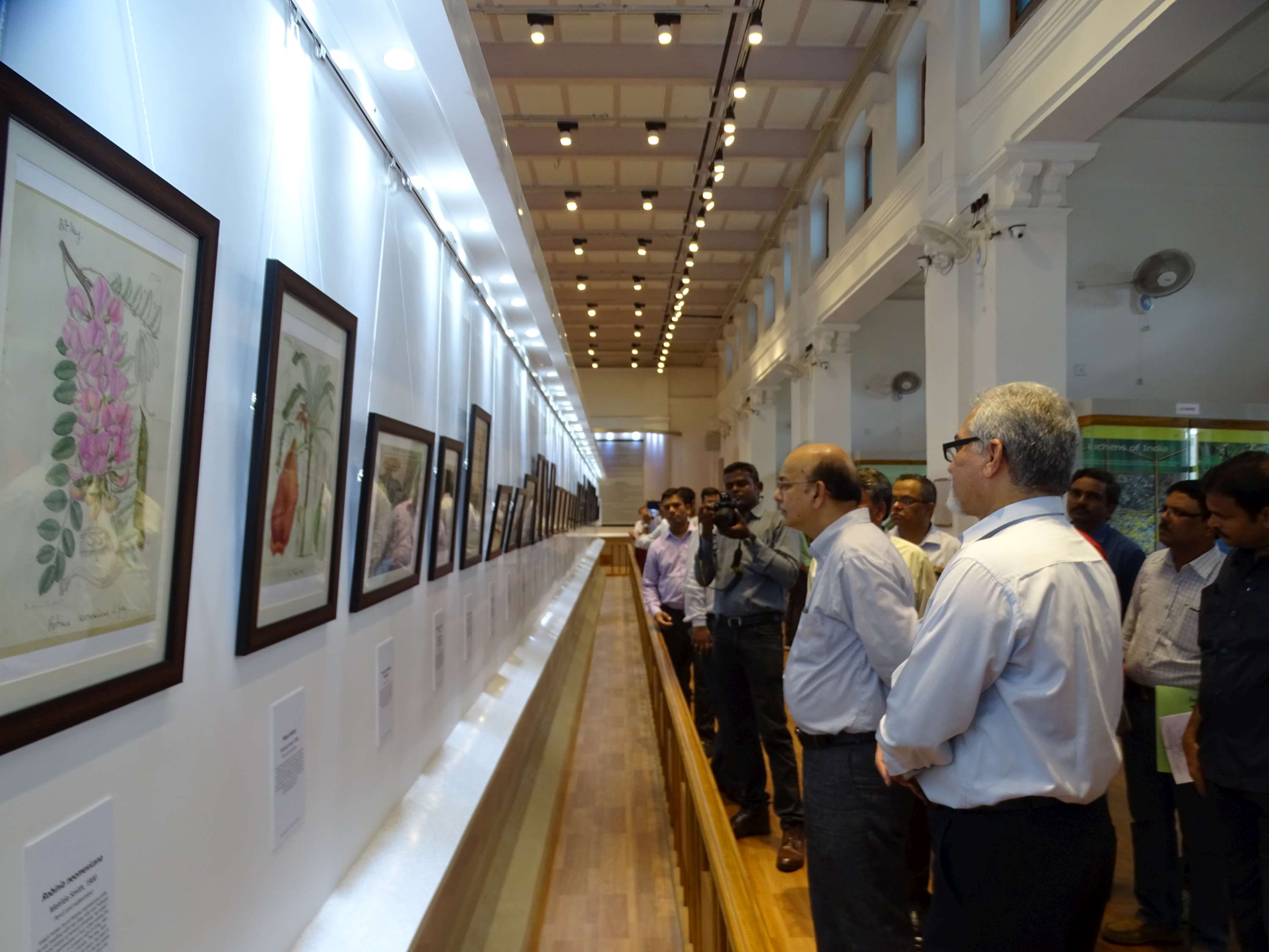 The Secretary, MOEF&CC keenly observing the exhibits of Botanical Gallery in Indian Museum, Kolkata 
