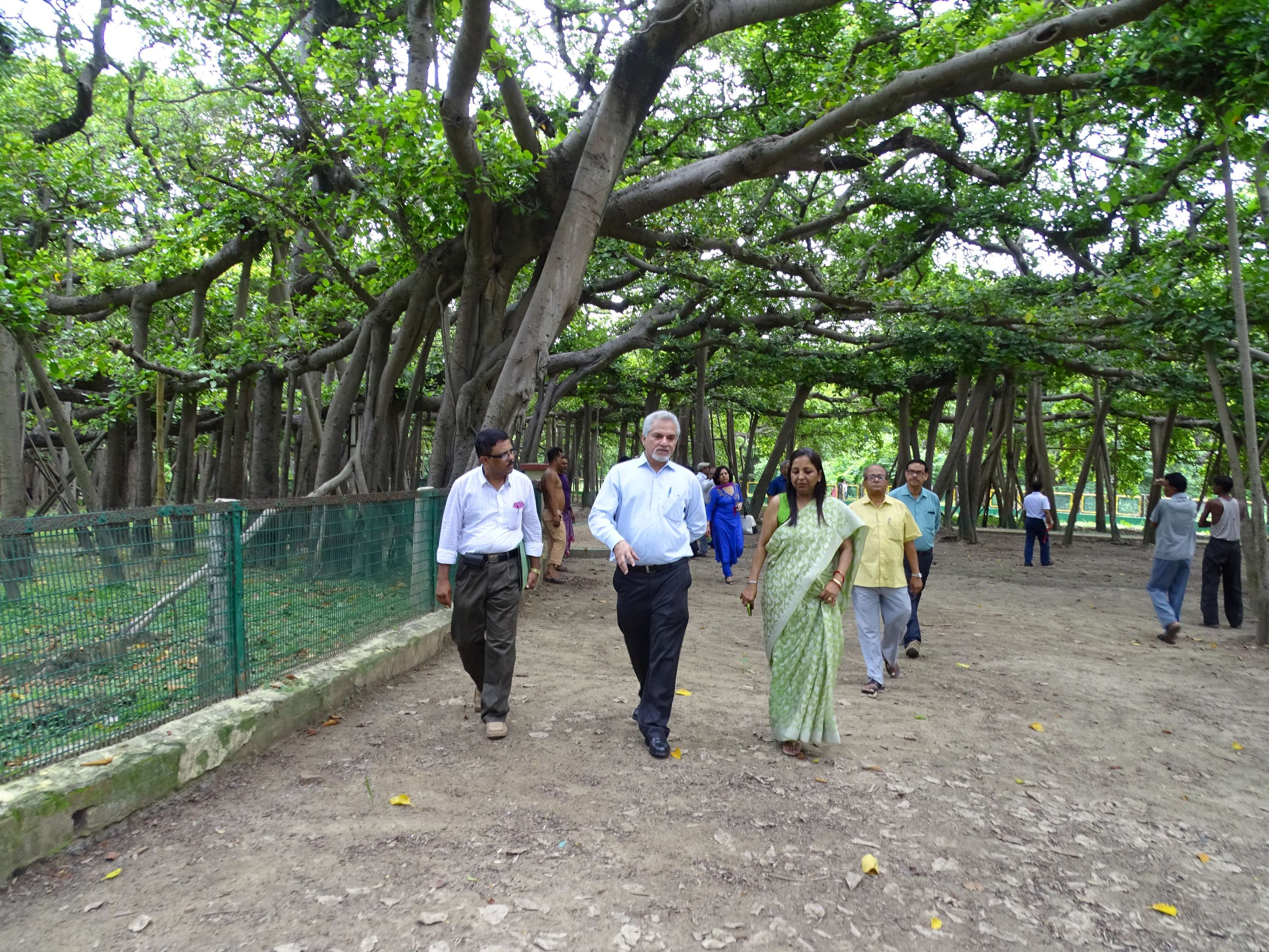 Addl. Secretary at Great Banyan Tree