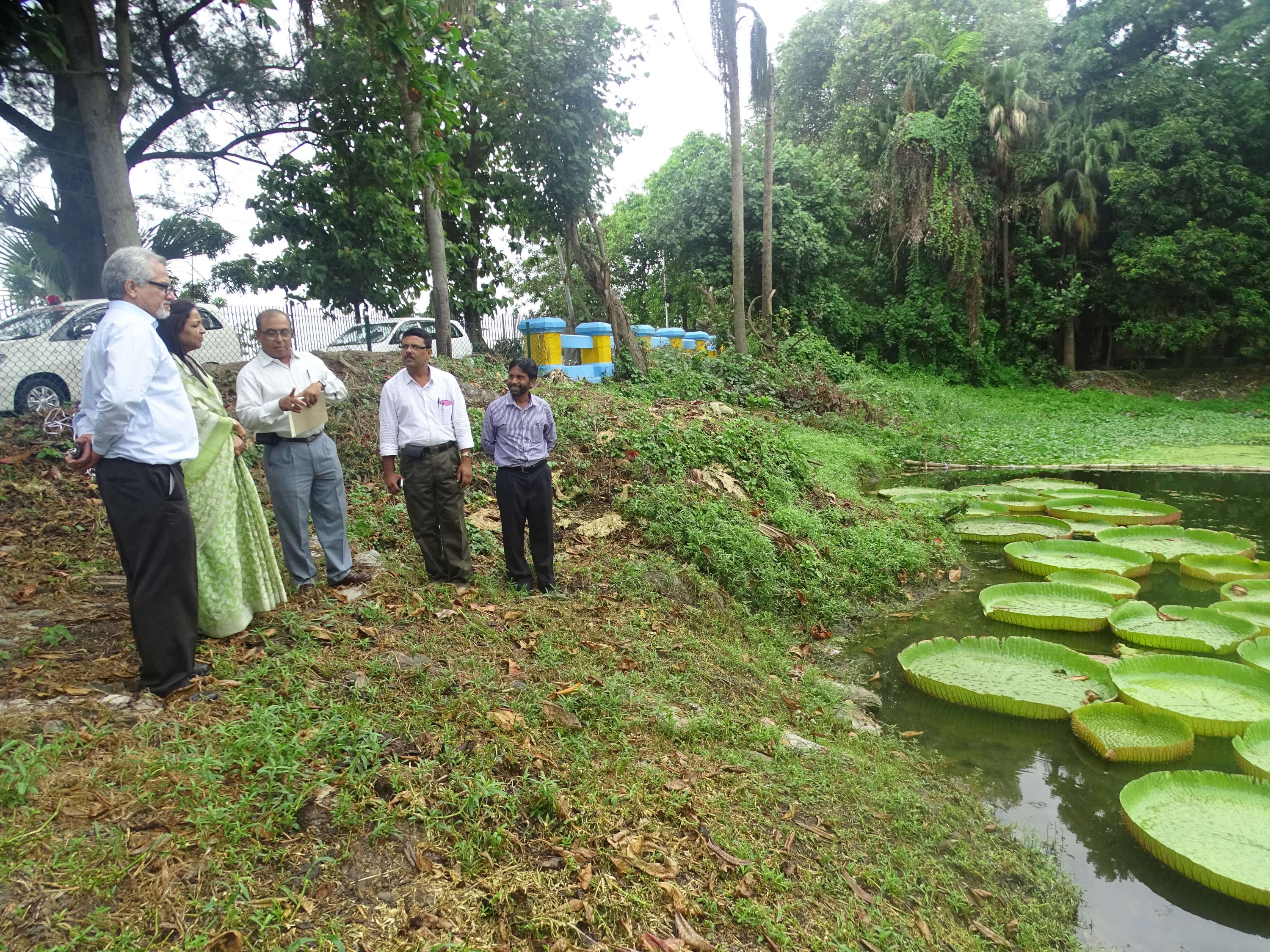 Addl. Secretary viewing Giant Water Lily