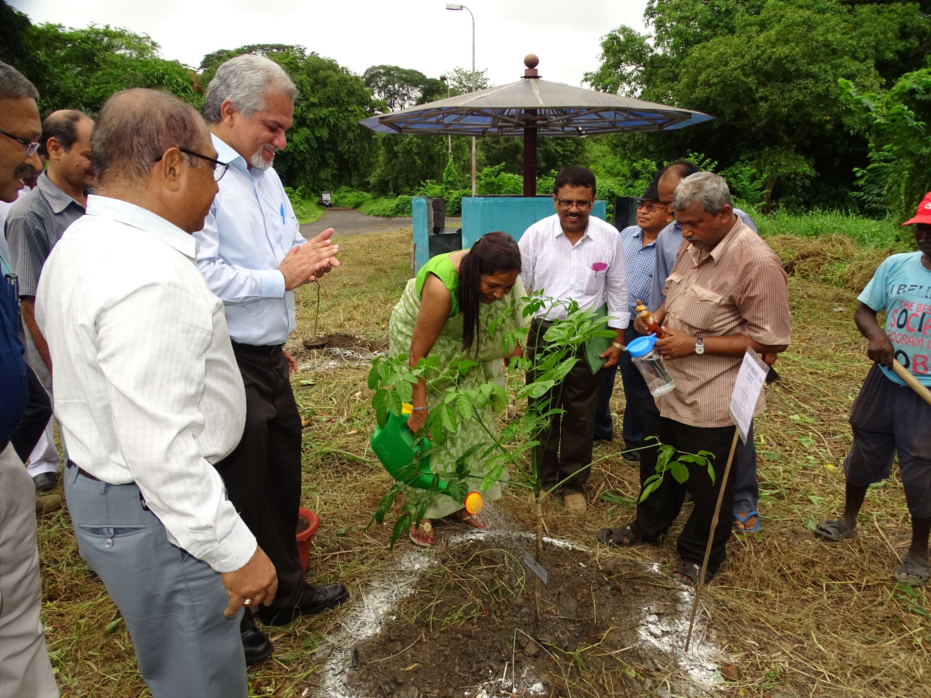 Plantation of sapling by Addl. Secretary