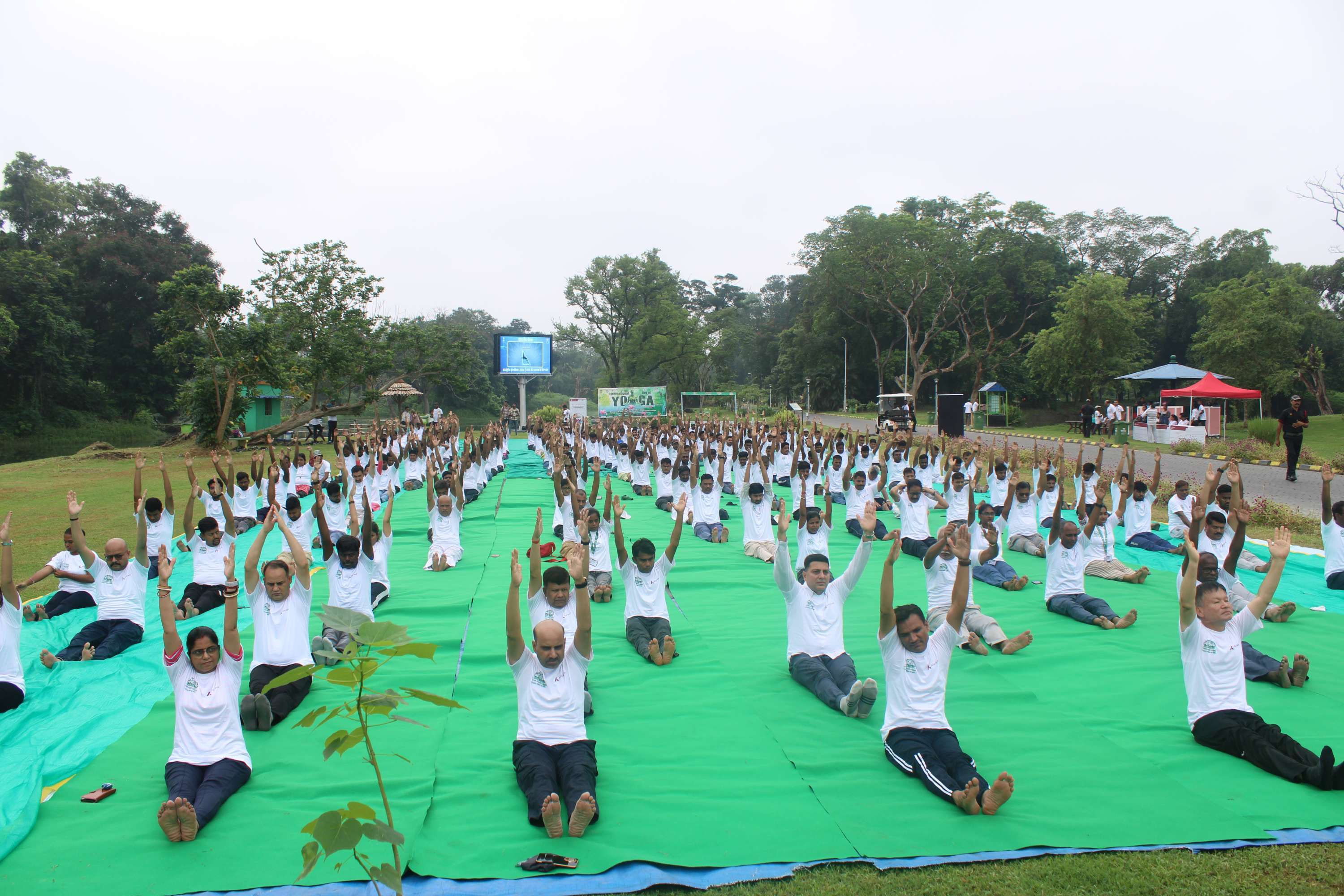 Yoga day 2024