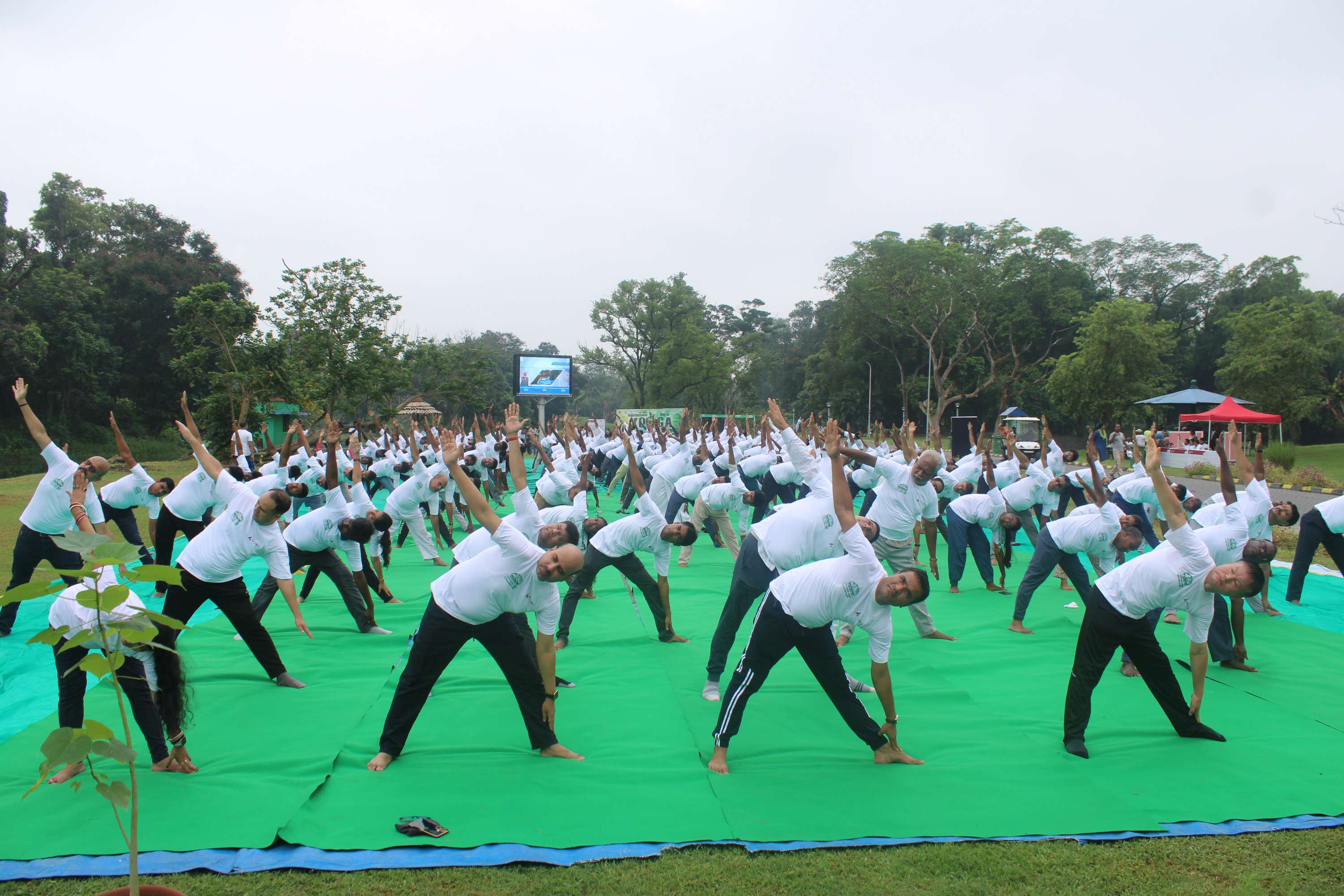 Yoga day 2024
