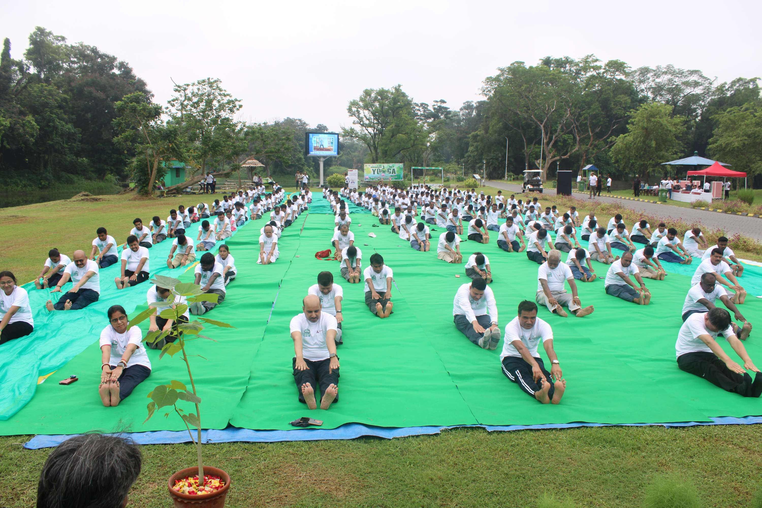 Yoga day 2024