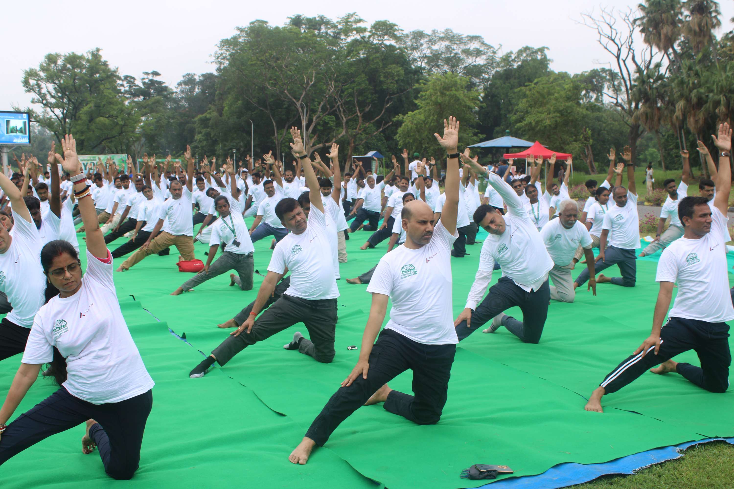 Yoga day 2024