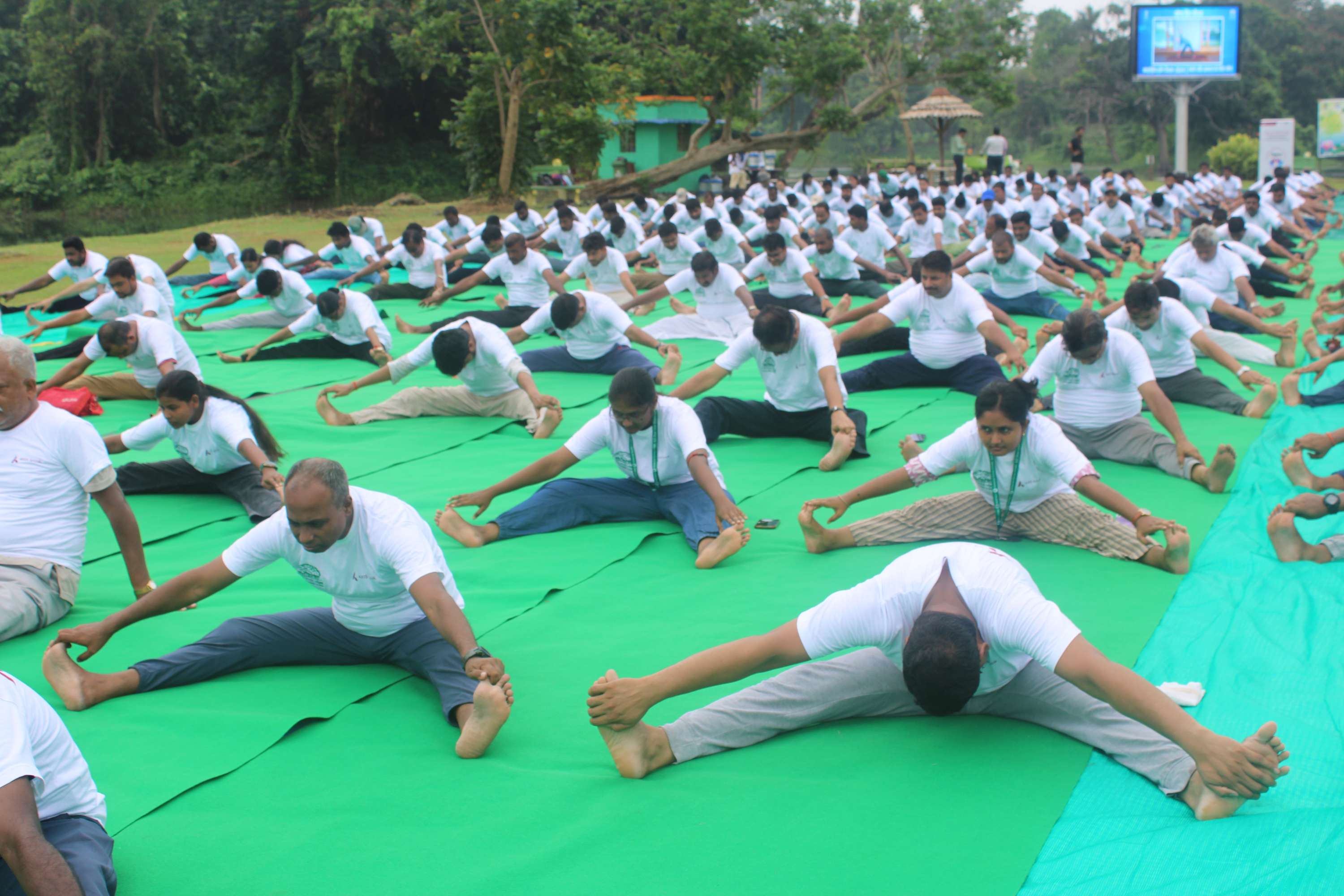 Yoga day 2024