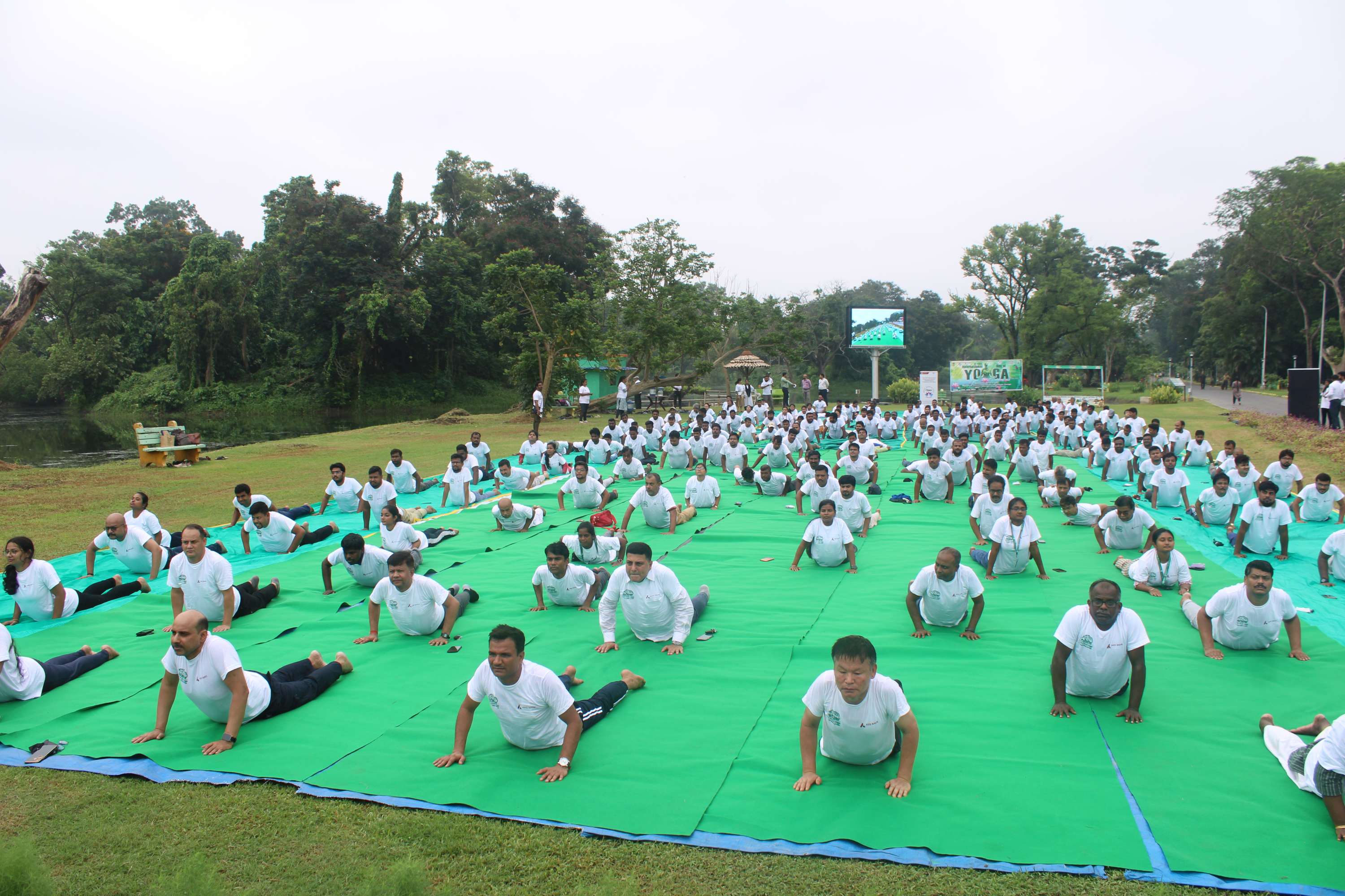 Yoga day 2024