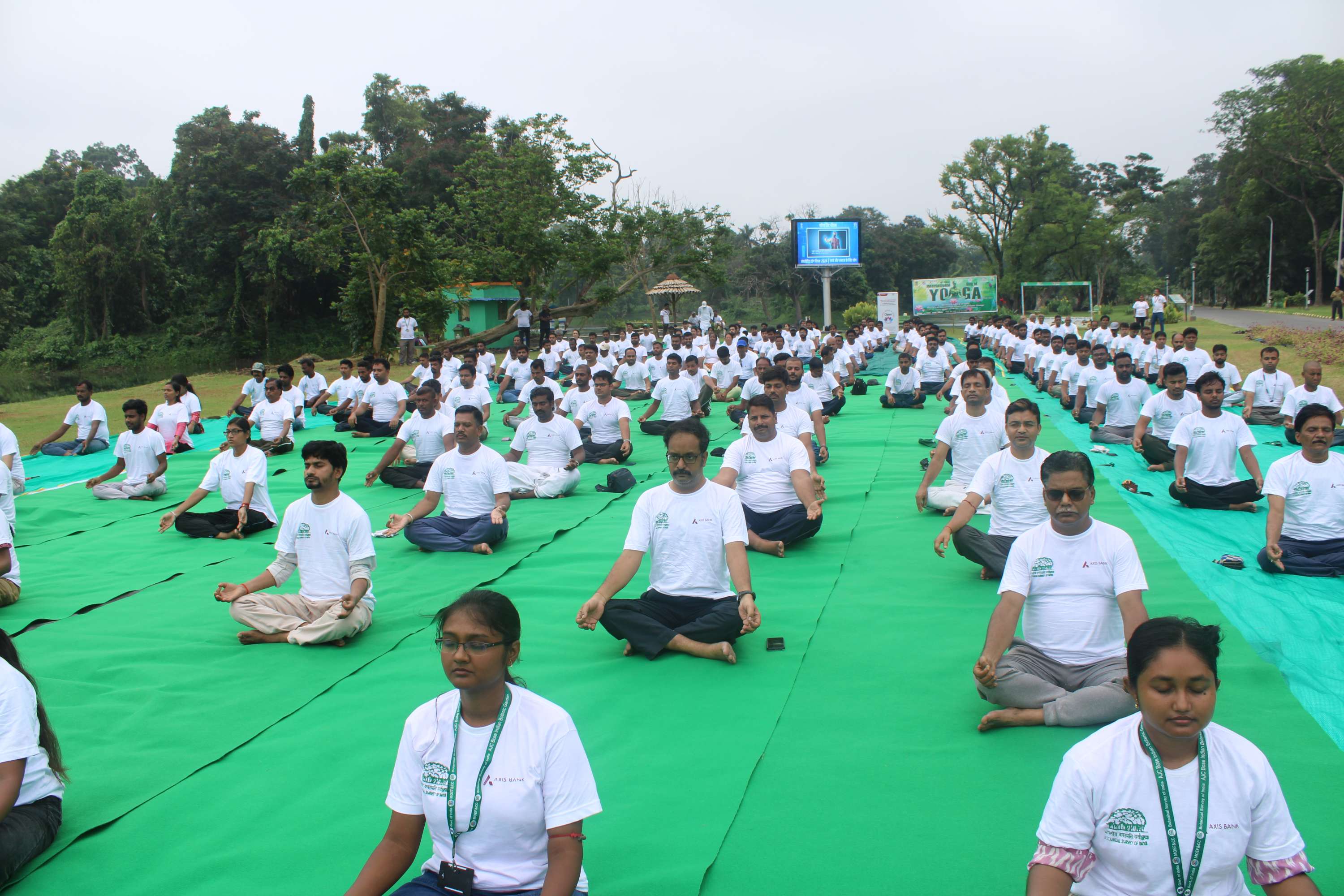 Yoga day 2024