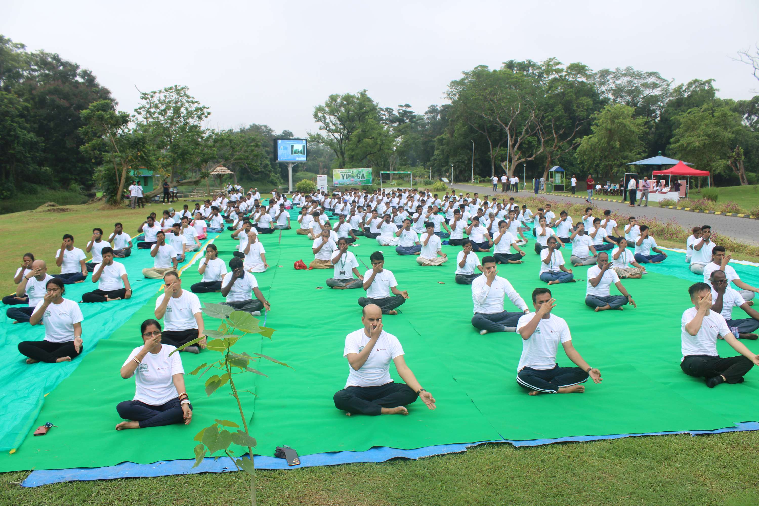 Yoga day 2024
