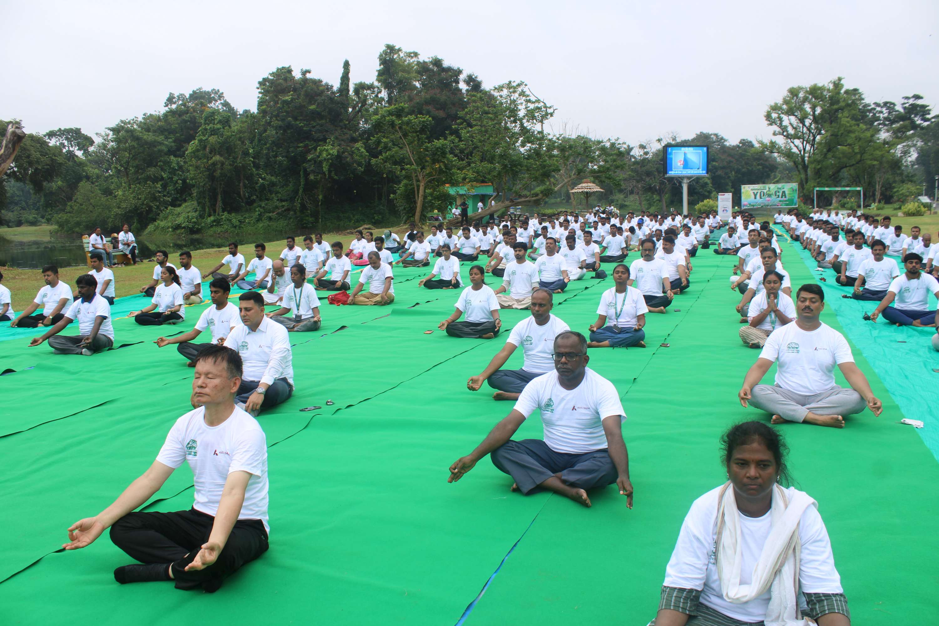 Yoga day 2024