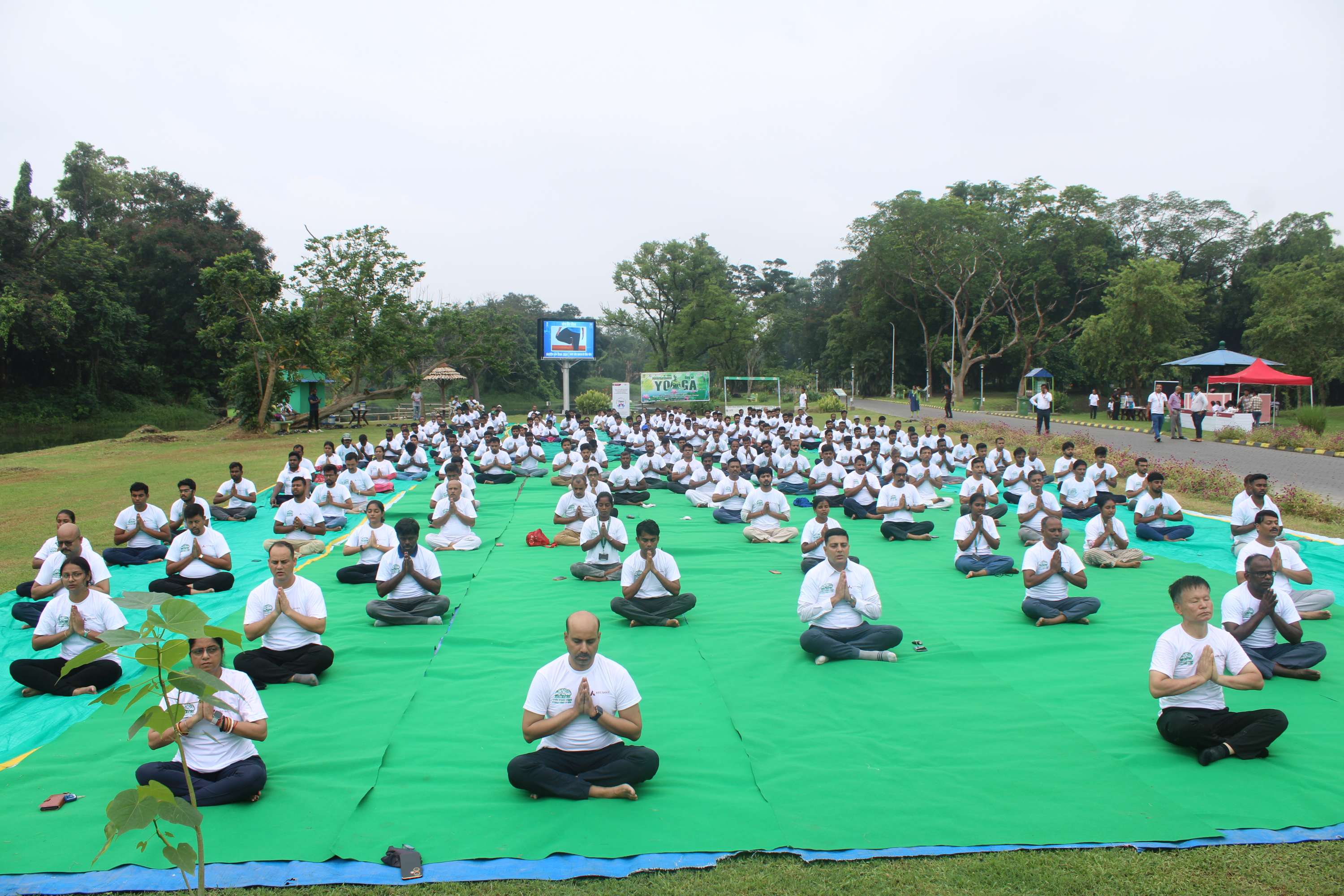 Yoga day 2024