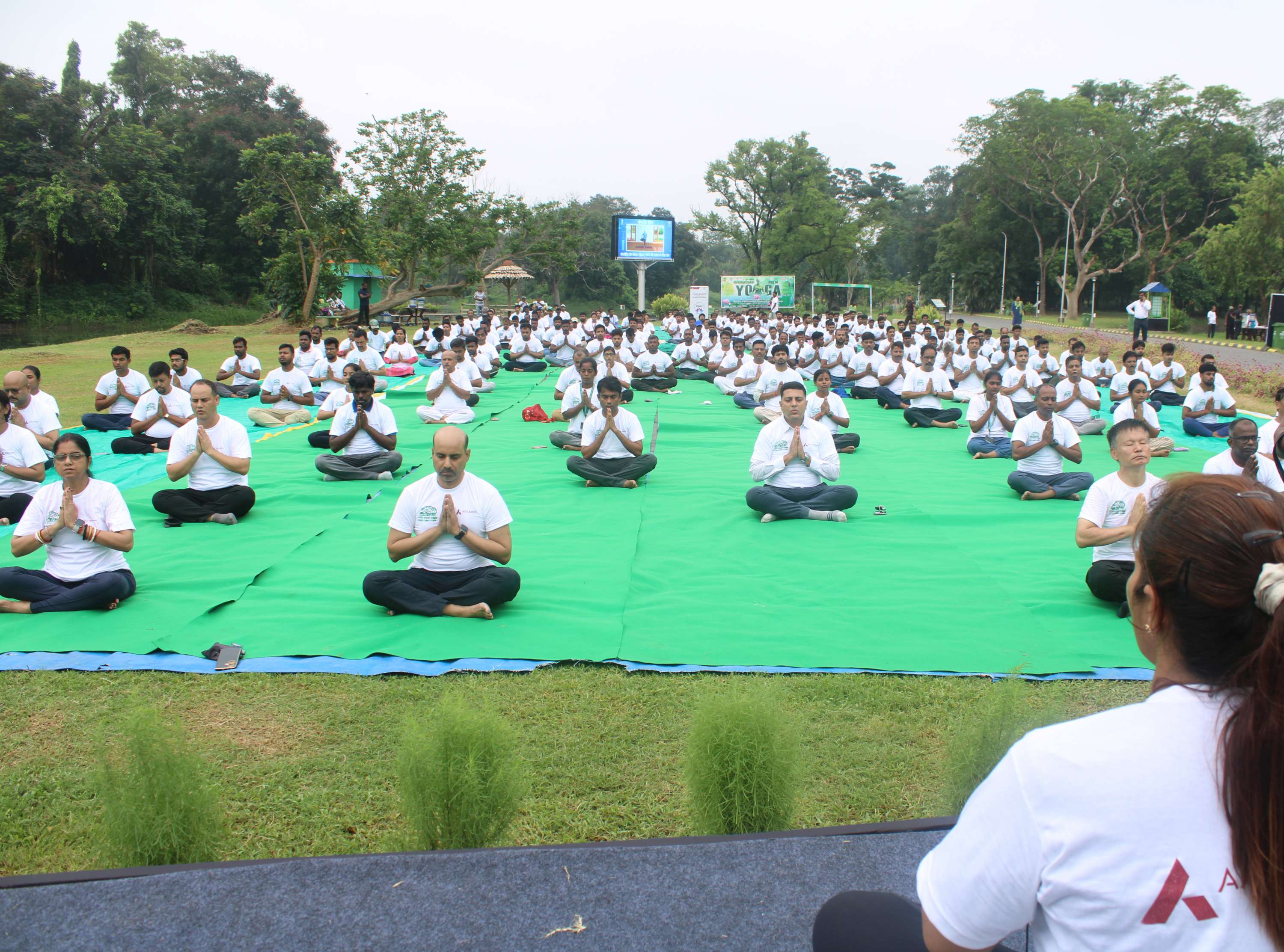 Yoga day 2024